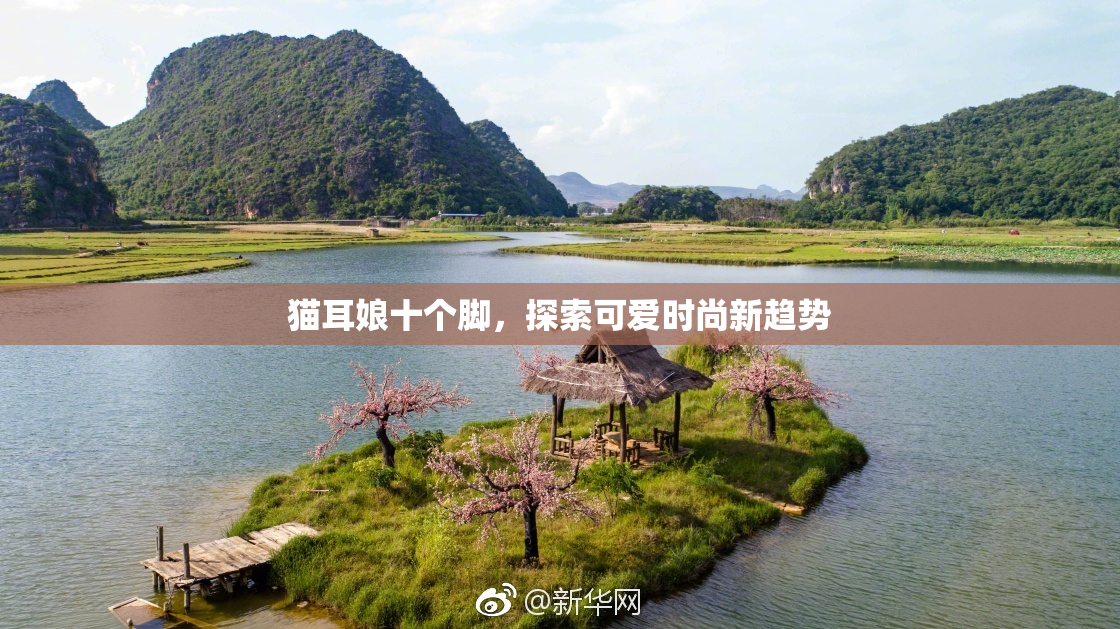 猫耳娘十个脚，探索可爱时尚新趋势