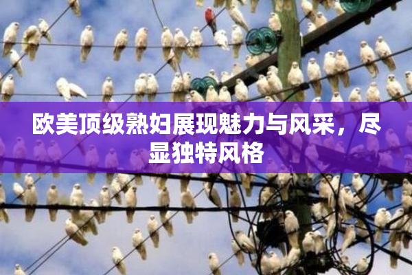 欧美顶级熟妇展现魅力与风采，尽显独特风格