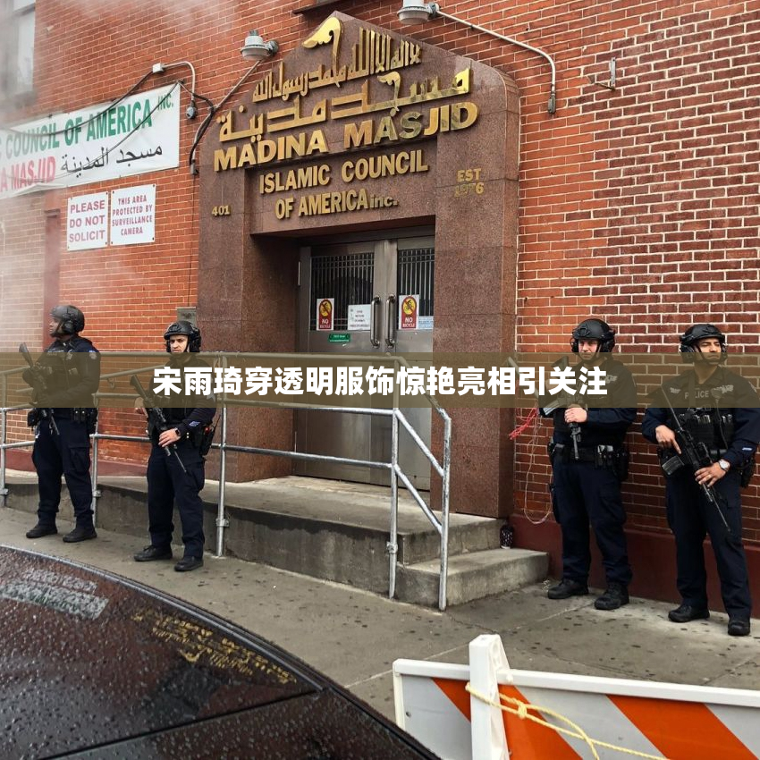 宋雨琦穿透明服饰惊艳亮相引关注