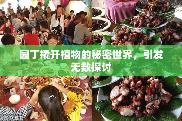 园丁撬开植物的秘密世界，引发无数探讨
