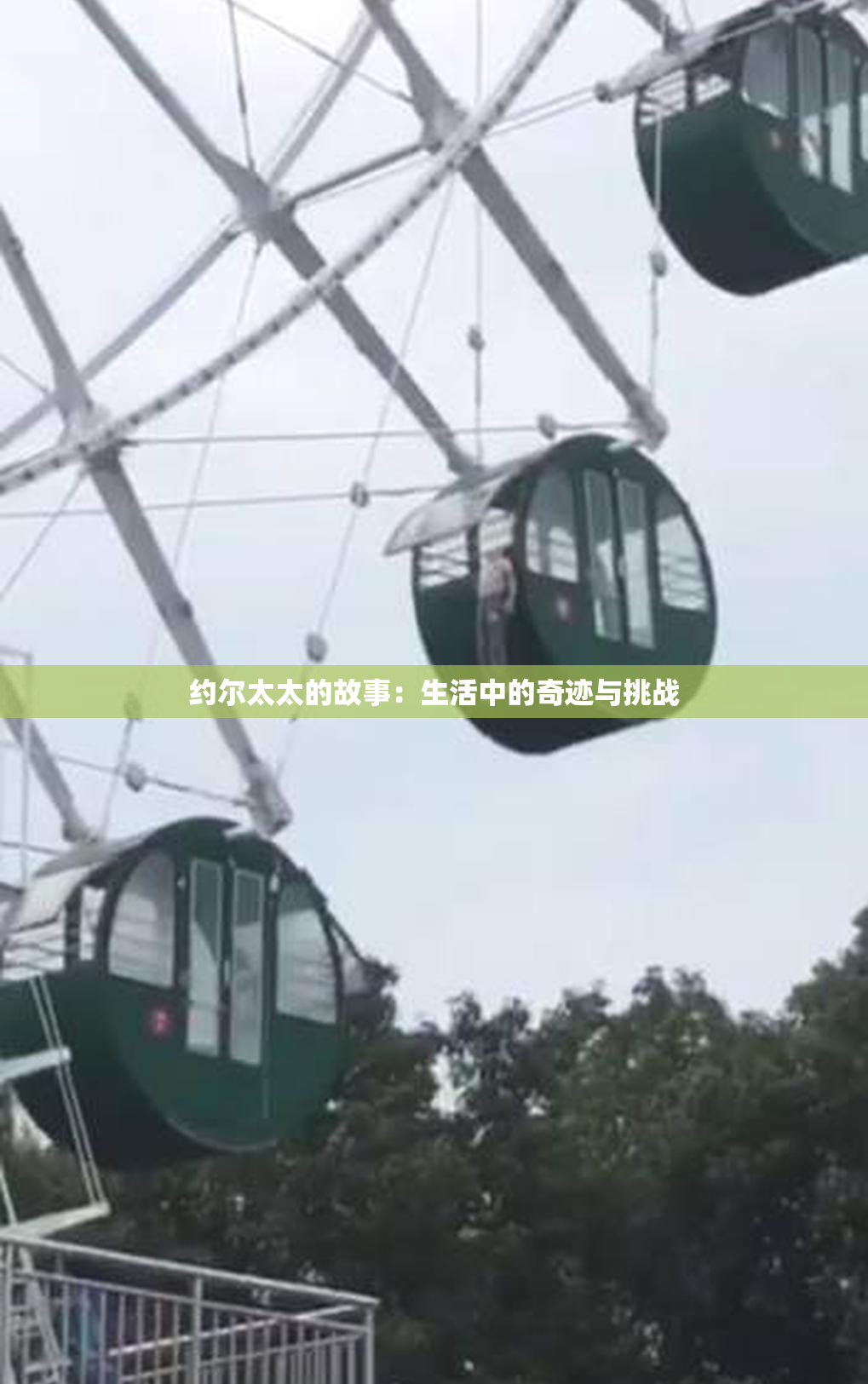 约尔太太的故事：生活中的奇迹与挑战
