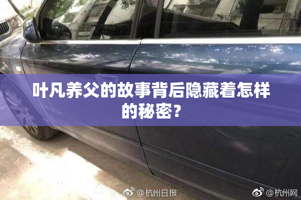 叶凡养父的故事背后隐藏着怎样的秘密？