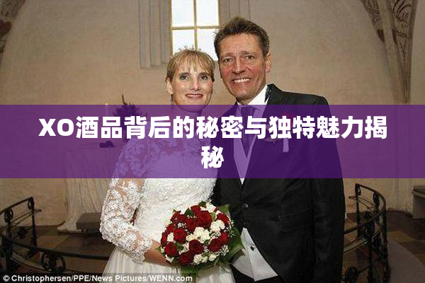 XO酒品背后的秘密与独特魅力揭秘