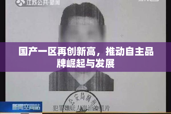 国产一区再创新高，推动自主品牌崛起与发展