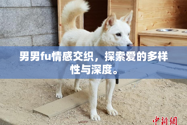 男男fu情感交织，探索爱的多样性与深度。