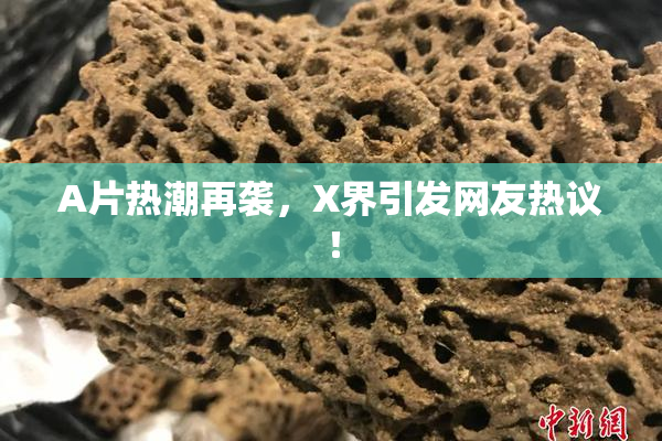 A片热潮再袭，X界引发网友热议！