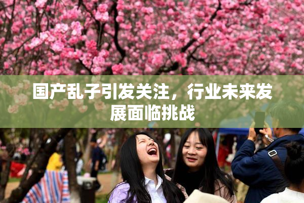 国产乱子引发关注，行业未来发展面临挑战
