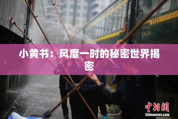 小黄书：风靡一时的秘密世界揭密