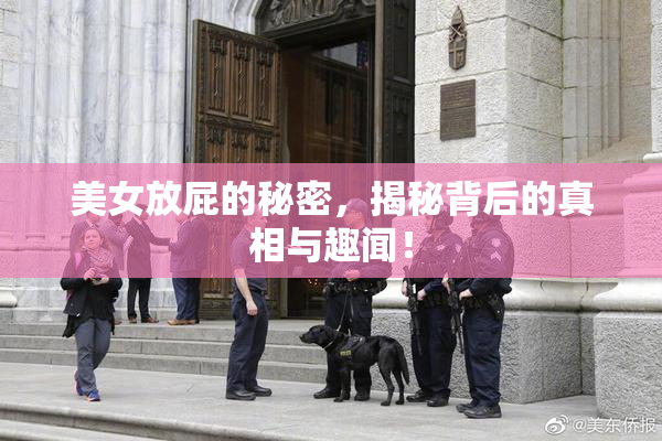 美女放屁的秘密，揭秘背后的真相与趣闻！