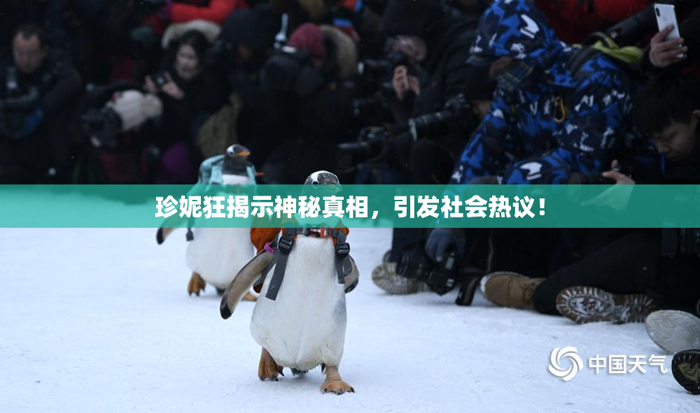 珍妮狂揭示神秘真相，引发社会热议！