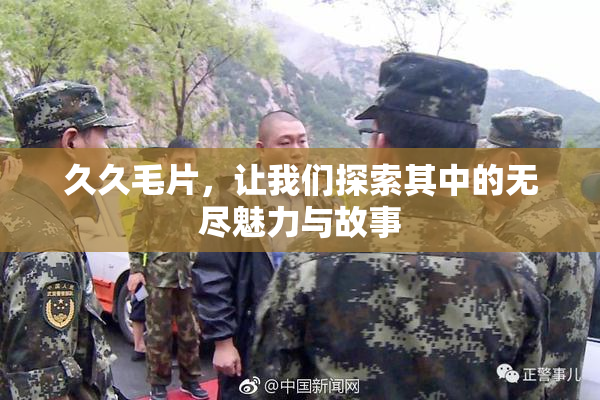 久久毛片，让我们探索其中的无尽魅力与故事