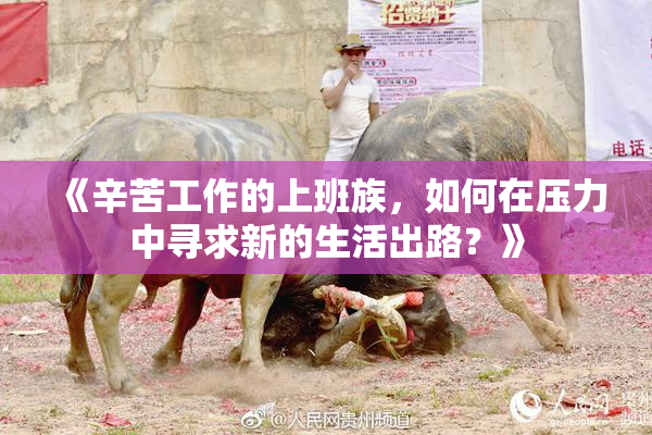 《辛苦工作的上班族，如何在压力中寻求新的生活出路？》