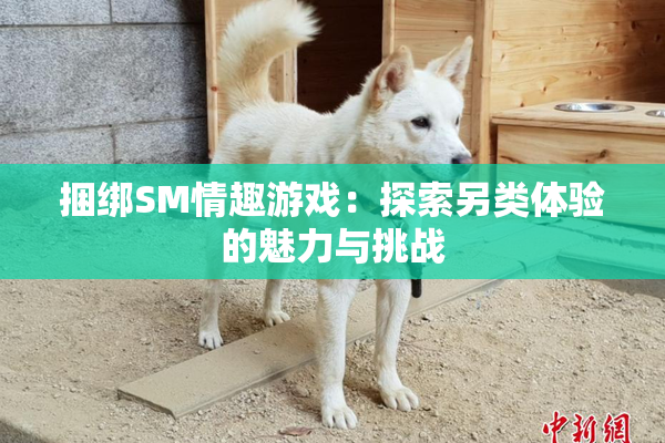 捆绑SM情趣游戏：探索另类体验的魅力与挑战