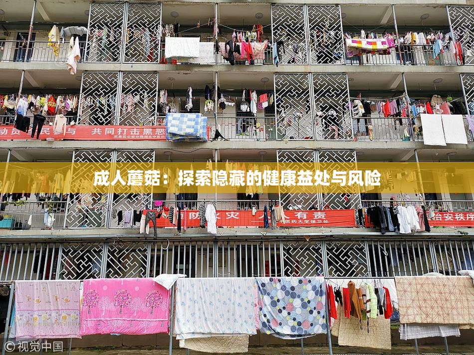 成人蘑菇：探索隐藏的健康益处与风险