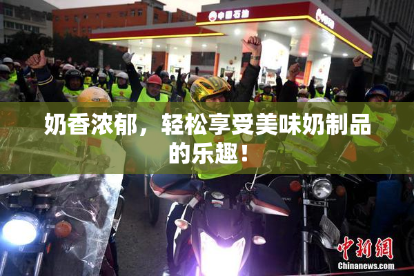 奶香浓郁，轻松享受美味奶制品的乐趣！