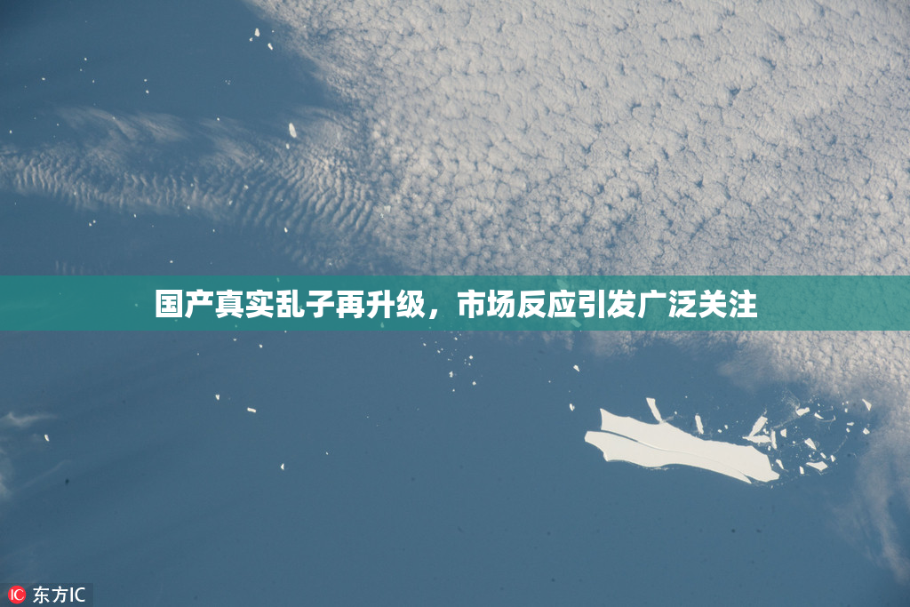 国产真实乱子再升级，市场反应引发广泛关注