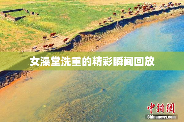 女澡堂洗重的精彩瞬间回放