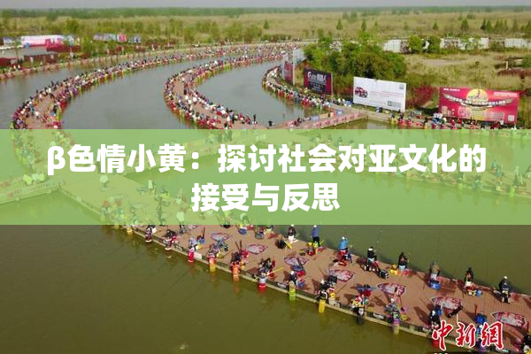 β色情小黄：探讨社会对亚文化的接受与反思
