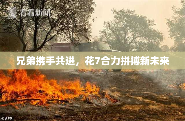 兄弟携手共进，花7合力拼搏新未来