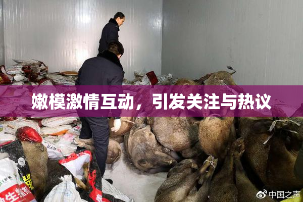 嫩模激情互动，引发关注与热议