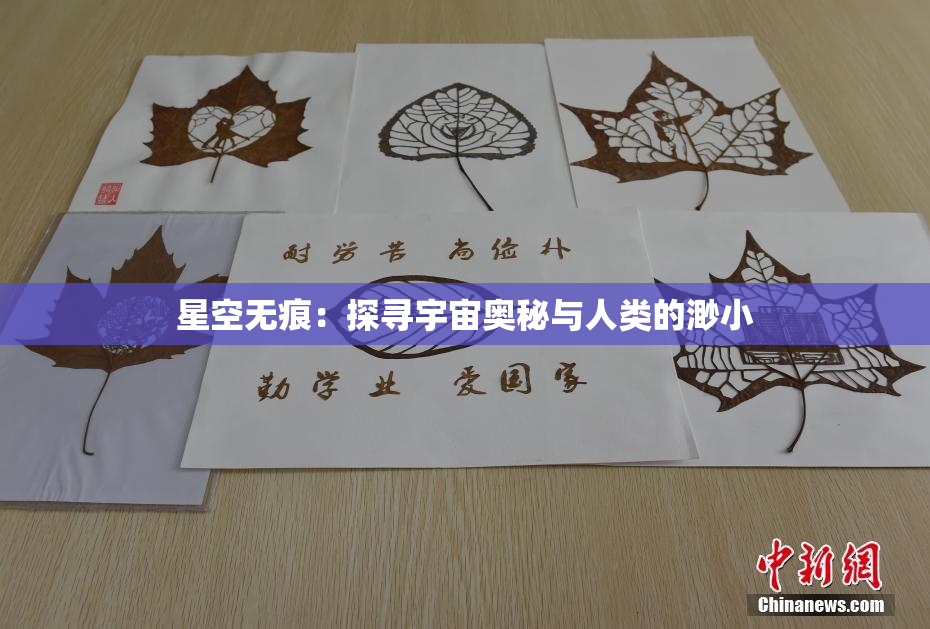 星空无痕：探寻宇宙奥秘与人类的渺小