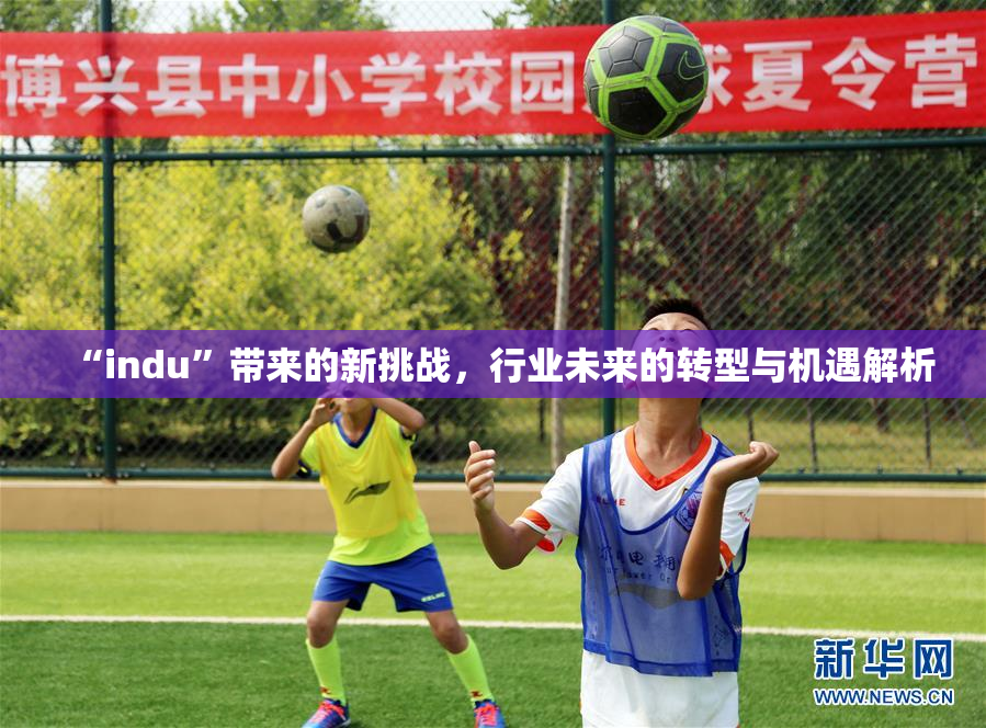 “indu”带来的新挑战，行业未来的转型与机遇解析