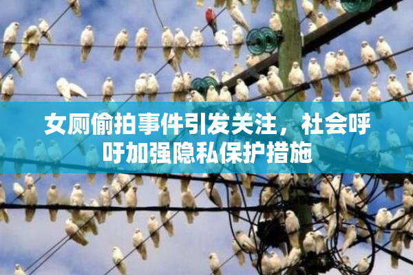 女厕偷拍事件引发关注，社会呼吁加强隐私保护措施