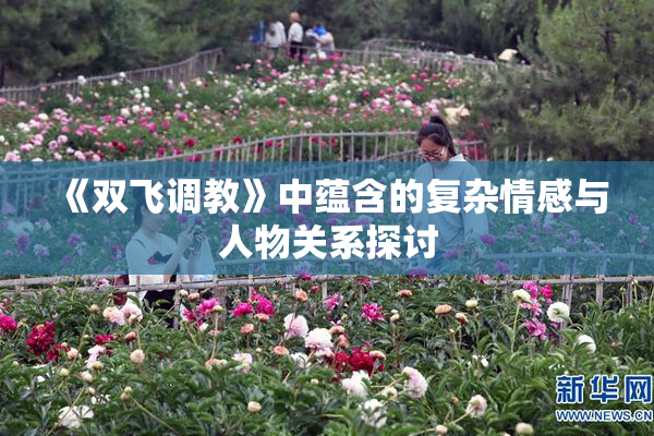 《双飞调教》中蕴含的复杂情感与人物关系探讨