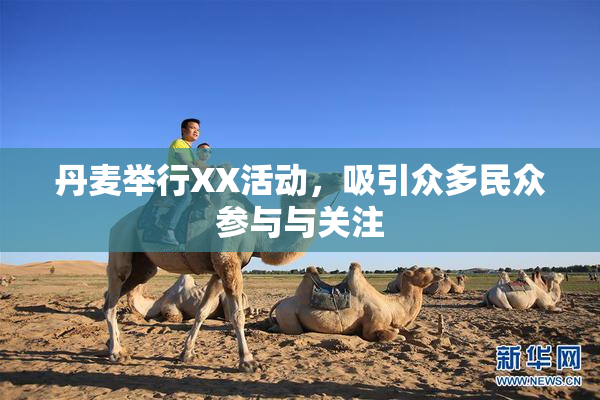 丹麦举行XX活动，吸引众多民众参与与关注