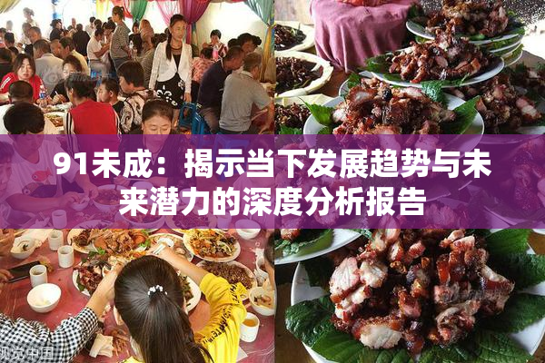 91未成：揭示当下发展趋势与未来潜力的深度分析报告