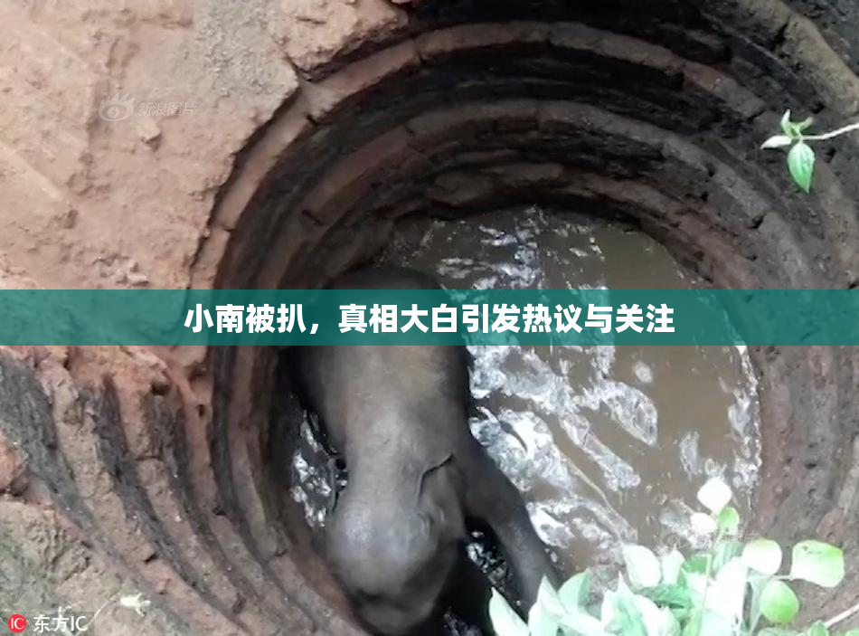 小南被扒，真相大白引发热议与关注