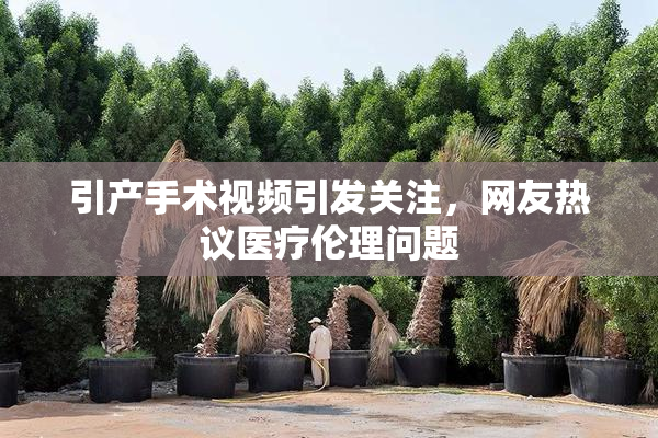 引产手术视频引发关注，网友热议医疗伦理问题
