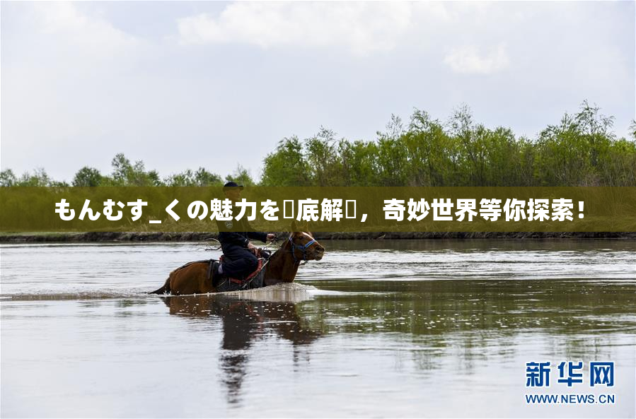 もんむす_くの魅力を徹底解説，奇妙世界等你探索！