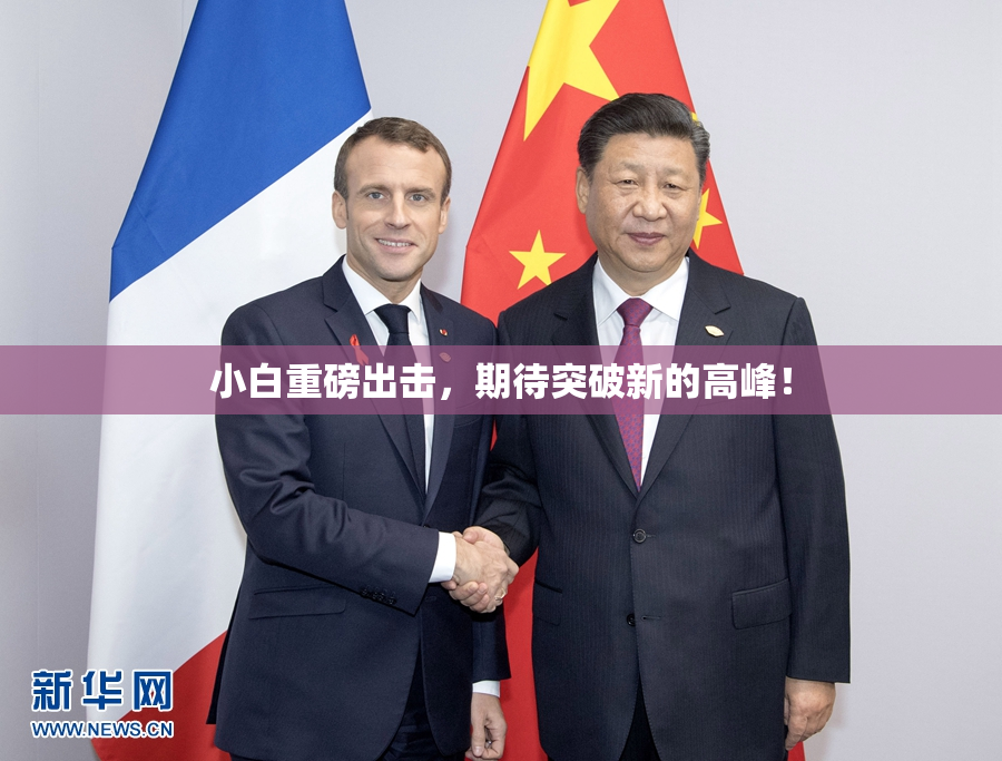 小白重磅出击，期待突破新的高峰！
