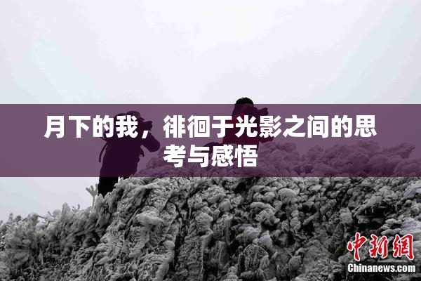 月下的我，徘徊于光影之间的思考与感悟