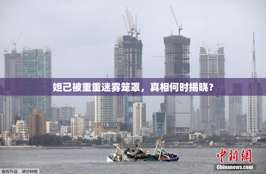 妲己被重重迷雾笼罩，真相何时揭晓？