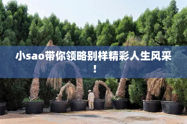 小sao带你领略别样精彩人生风采！