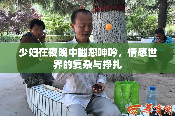 少妇在夜晚中幽怨呻吟，情感世界的复杂与挣扎
