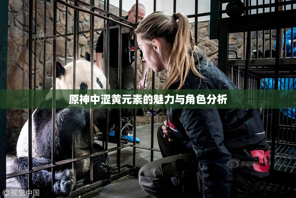 原神中涩黄元素的魅力与角色分析
