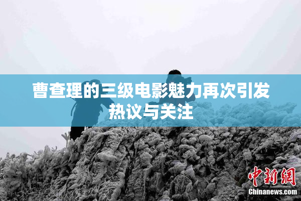 曹查理的三级电影魅力再次引发热议与关注