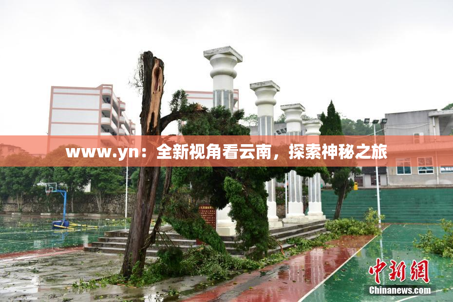 www.yn：全新视角看云南，探索神秘之旅