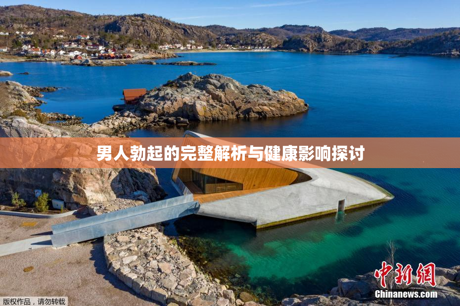 男人勃起的完整解析与健康影响探讨