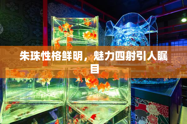 朱珠性格鲜明，魅力四射引人瞩目