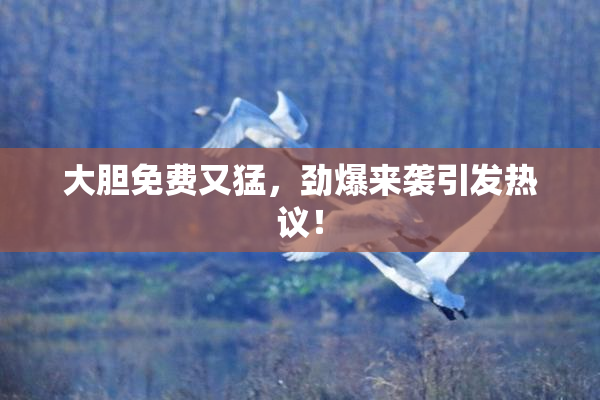 大胆免费又猛，劲爆来袭引发热议！