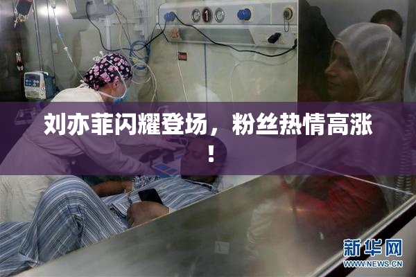 刘亦菲闪耀登场，粉丝热情高涨！