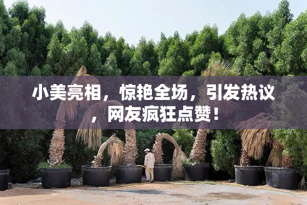 小美亮相，惊艳全场，引发热议，网友疯狂点赞！
