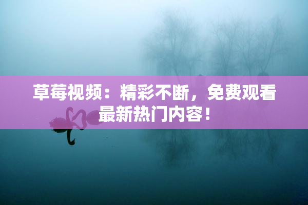 草莓视频：精彩不断，免费观看最新热门内容！