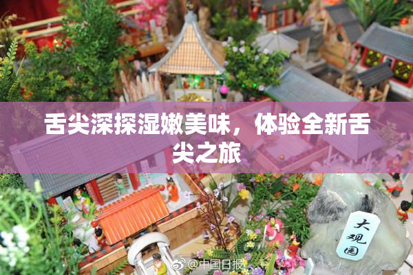 舌尖深探湿嫩美味，体验全新舌尖之旅