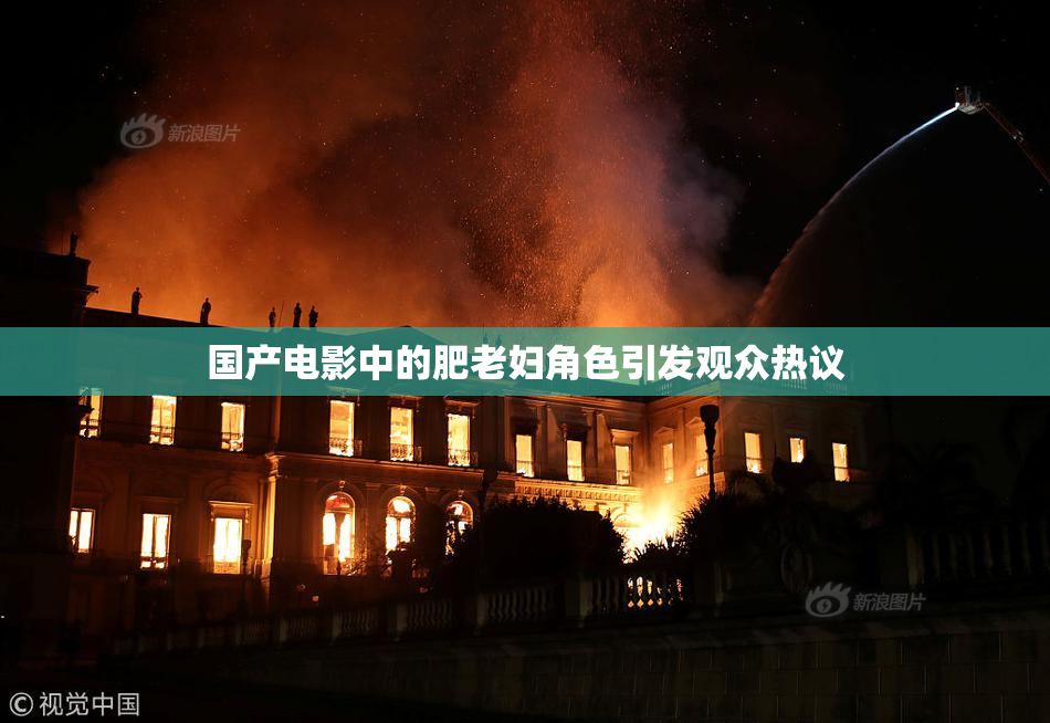 国产电影中的肥老妇角色引发观众热议