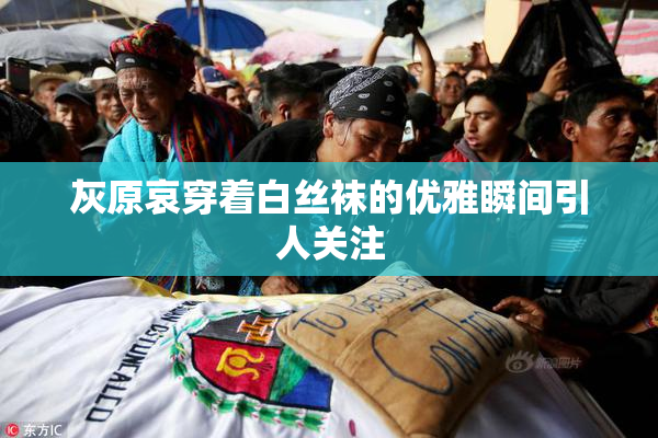 灰原哀穿着白丝袜的优雅瞬间引人关注